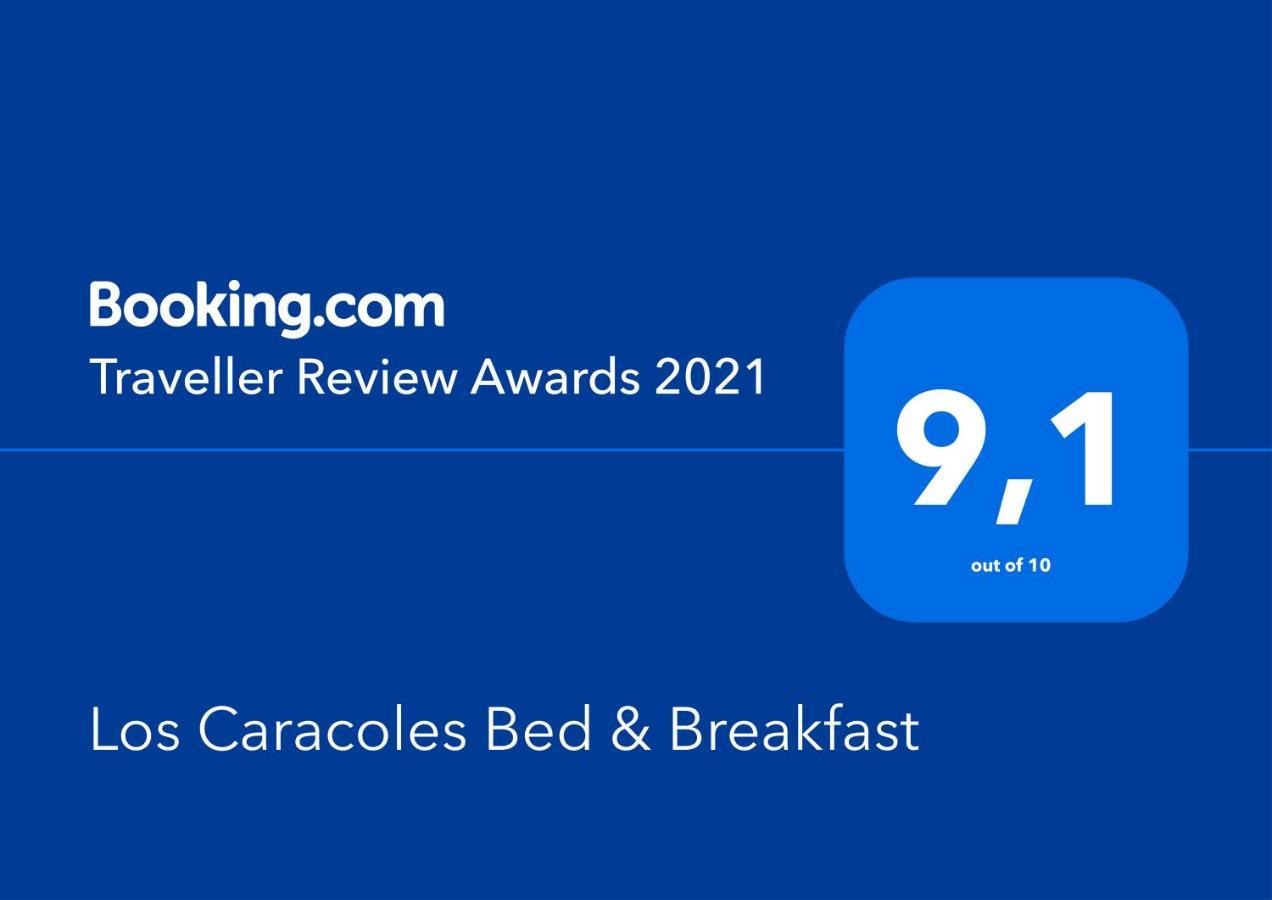Los Caracoles Bed & Breakfast Cancun Luaran gambar