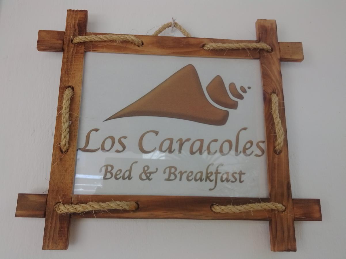 Los Caracoles Bed & Breakfast Cancun Luaran gambar